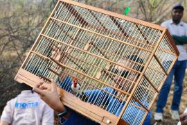 WhatsApp Image 2024-10-24 at 16.31.13 (1).jpeg