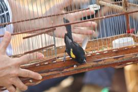 WhatsApp Image 2024-10-24 at 16.31.14 (1).jpeg