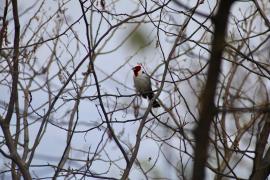 WhatsApp Image 2024-10-24 at 16.31.15 (1).jpeg