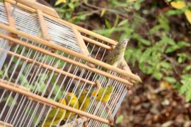 WhatsApp Image 2024-10-24 at 16.31.15.jpeg