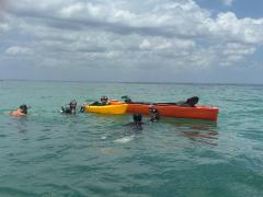 WhatsApp Image 2024-10-25 at 16.39.07.jpeg