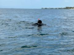 WhatsApp Image 2024-10-25 at 16.39.11(1).jpeg