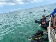 WhatsApp Image 2024-10-25 at 16.39.11.jpeg