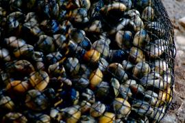 WhatsApp Image 2024-10-31 at 17.33.06 (7).jpeg