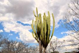 WhatsApp Image 2024-12-03 at 08.19.36 (2).jpeg