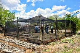 WhatsApp Image 2024-12-03 at 08.19.37.jpeg