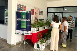 WhatsApp Image 2024-12-05 at 15.09.51.jpeg