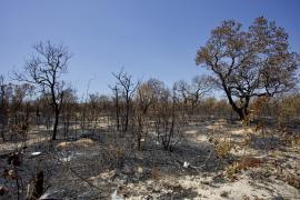 IMG_3401 (1) (1).jpg