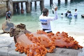 WhatsApp Image 2025-01-08 at 14.38.31.jpeg