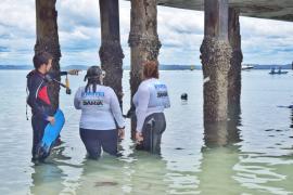 WhatsApp Image 2025-01-15 at 17.41.54 (2).jpeg