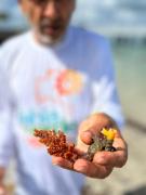 WhatsApp Image 2025-02-04 at 16.30.51.jpeg