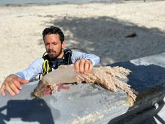 WhatsApp Image 2025-02-04 at 16.30.52.jpeg