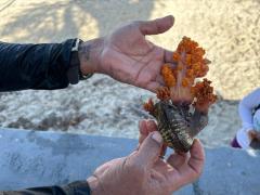 WhatsApp Image 2025-02-04 at 16.30.53(1).jpeg