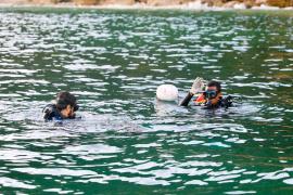 WhatsApp Image 2025-02-18 at 08.41.03.jpeg