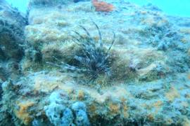 WhatsApp Image 2025-02-18 at 08.41.42.jpeg