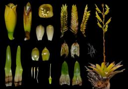 WhatsApp Image 2025-03-07 at 09.13.10.jpeg