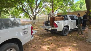 WhatsApp Image 2025-03-26 at 09.31.45.jpeg