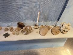 WhatsApp Image 2025-04-26 at 12.51.27.jpeg