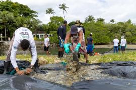 WhatsApp Image 2025-07-24 at 17.42.45.jpeg