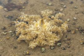 WhatsApp Image 2025-07-24 at 17.42.51.jpeg