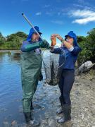 Remoção de medusas em Itaparica