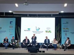 WhatsApp Image 2025-08-13 at 13.56.41.jpeg