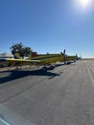 WhatsApp Image 2025-08-15 at 13.26.56.jpeg