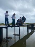 Limpeza de Medusas - Itaparica 1.jpeg