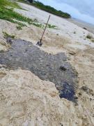 Limpeza de Medusas - Itaparica 3.jpeg