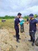 Limpeza de Medusas - Itaparica 6.jpeg