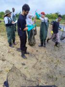 Limpeza de Medusas - Itaparica 7.jpeg