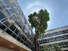 WhatsApp Image 2025-09-19 at 14.16.59.jpeg