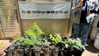 WhatsApp Image 2025-10-22 at 12.28.25.jpeg