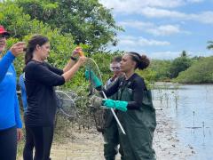 Itaparica - pesagem das medusas removidas (2).jpeg