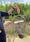 Itaparica - pesagem das medusas removidas.jpeg