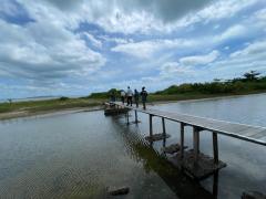 Itaparica - praia do brasileiro.jpeg