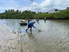 Itaparica - voluntários na remoção das medusas (2).jpeg