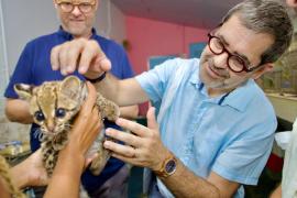 WhatsApp Image 2025-11-03 at 13.06.26.jpeg