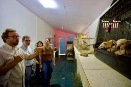 WhatsApp Image 2025-11-03 at 13.06.27 (2).jpeg