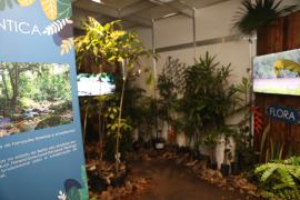 Fenagro 2025 recebe espaço imersivo da Sema e do Inema sobre conservação ambiental