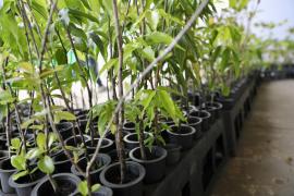 WhatsApp Image 2025-12-06 at 15.33.21 (1).jpeg