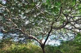 Créditos Fazenda Limoeiro - Raimundo Macêdo (4).jpeg