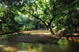 Créditos Fazenda Limoeiro - Raimundo Macêdo (5).jpeg