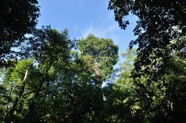 Créditos Fazenda Limoeiro - Raimundo Macêdo (6).jpeg