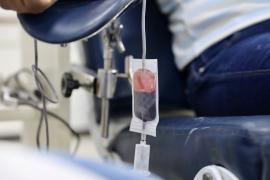 Mutirão Doação de Sangue - HEMOBA (10).jpg