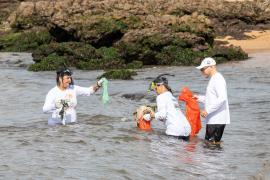 Ação da Sema e do Inema retira cerca de 250 kg de resíduos da praia do Rio Vermelho antes da Festa de Iemanjá