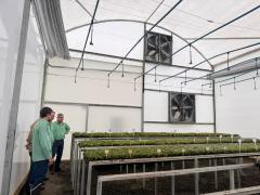 Sema visita viveiros no Extremo Sul para fortalecer política de recomposição florestal