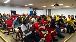 Brigadas voluntárias