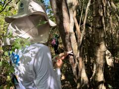 Estudo Técnico na Serra da Chapadinha