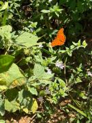 Estudo Técnico na Serra da Chapadinha